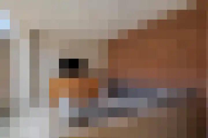 Prins Mauritsweg 23 Waalre thumbnail 30