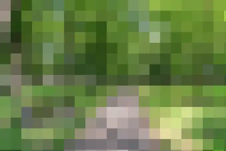 Prins Mauritsweg 23 Waalre thumbnail 33