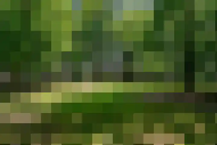 Prins Mauritsweg 23 Waalre thumbnail 34