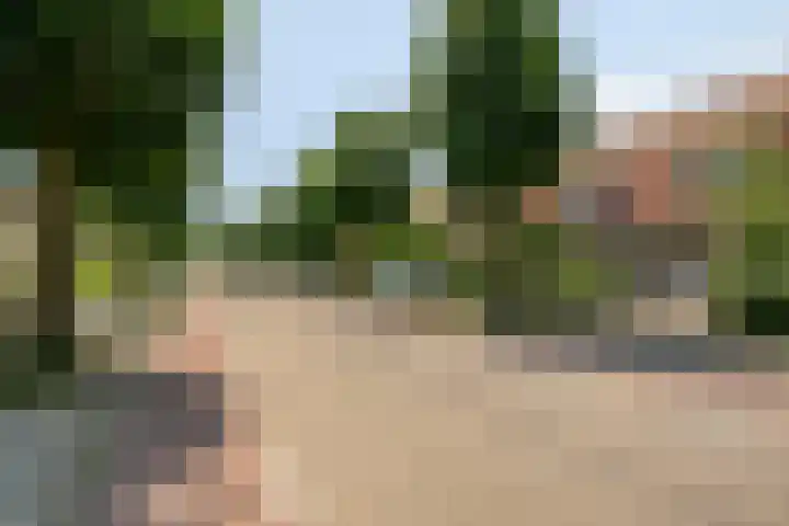 Prins Mauritsweg 23 Waalre thumbnail 5