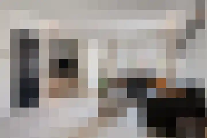 Prins Mauritsweg 23 Waalre thumbnail 9
