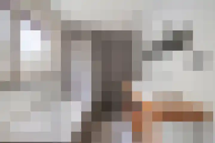 Prins Mauritsweg 41 Waalre thumbnail 17