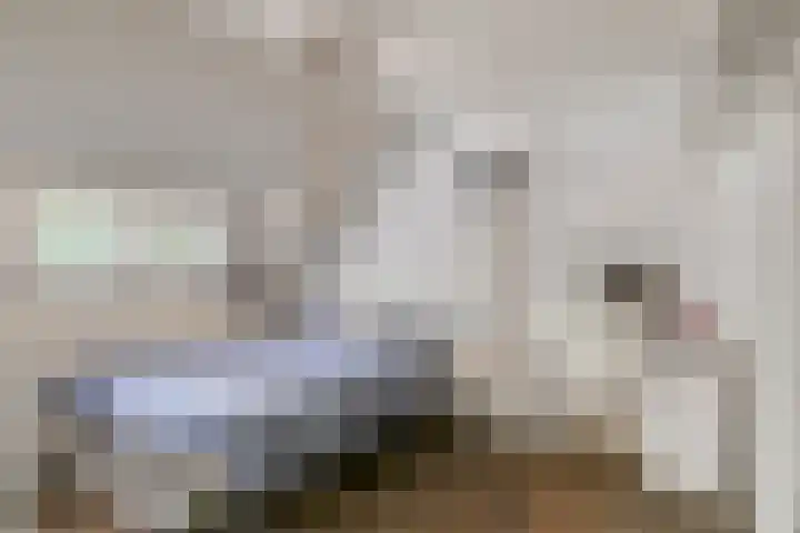 Prins Mauritsweg 41 Waalre thumbnail 19