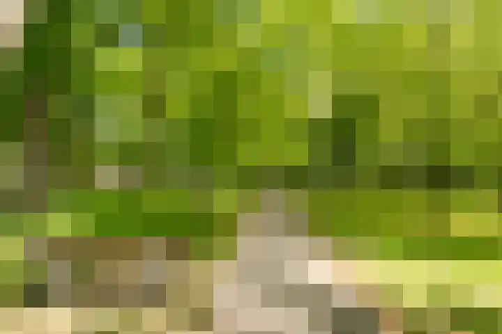 Prins Mauritsweg 41 Waalre thumbnail 32