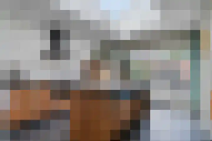 Prins Mauritsweg 41 Waalre thumbnail 9