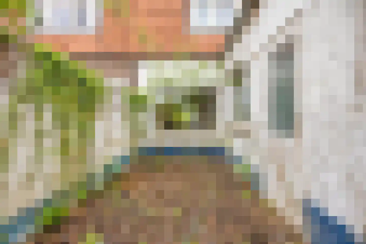 Prins Mauritsweg 71 Waalre thumbnail 26