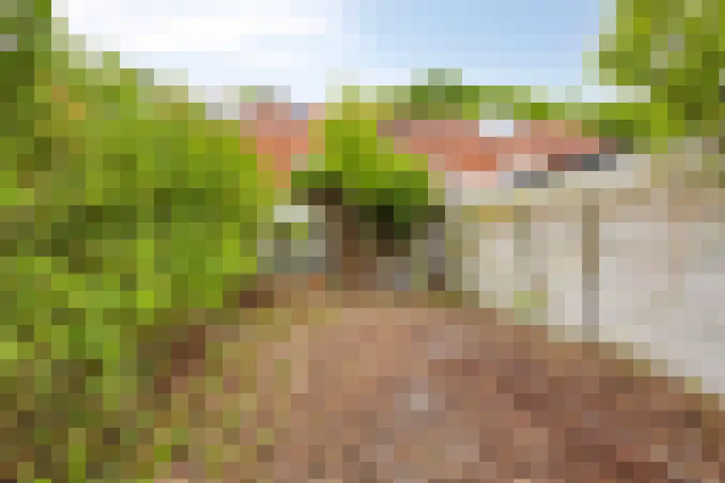 Prins Mauritsweg 71 Waalre thumbnail 29