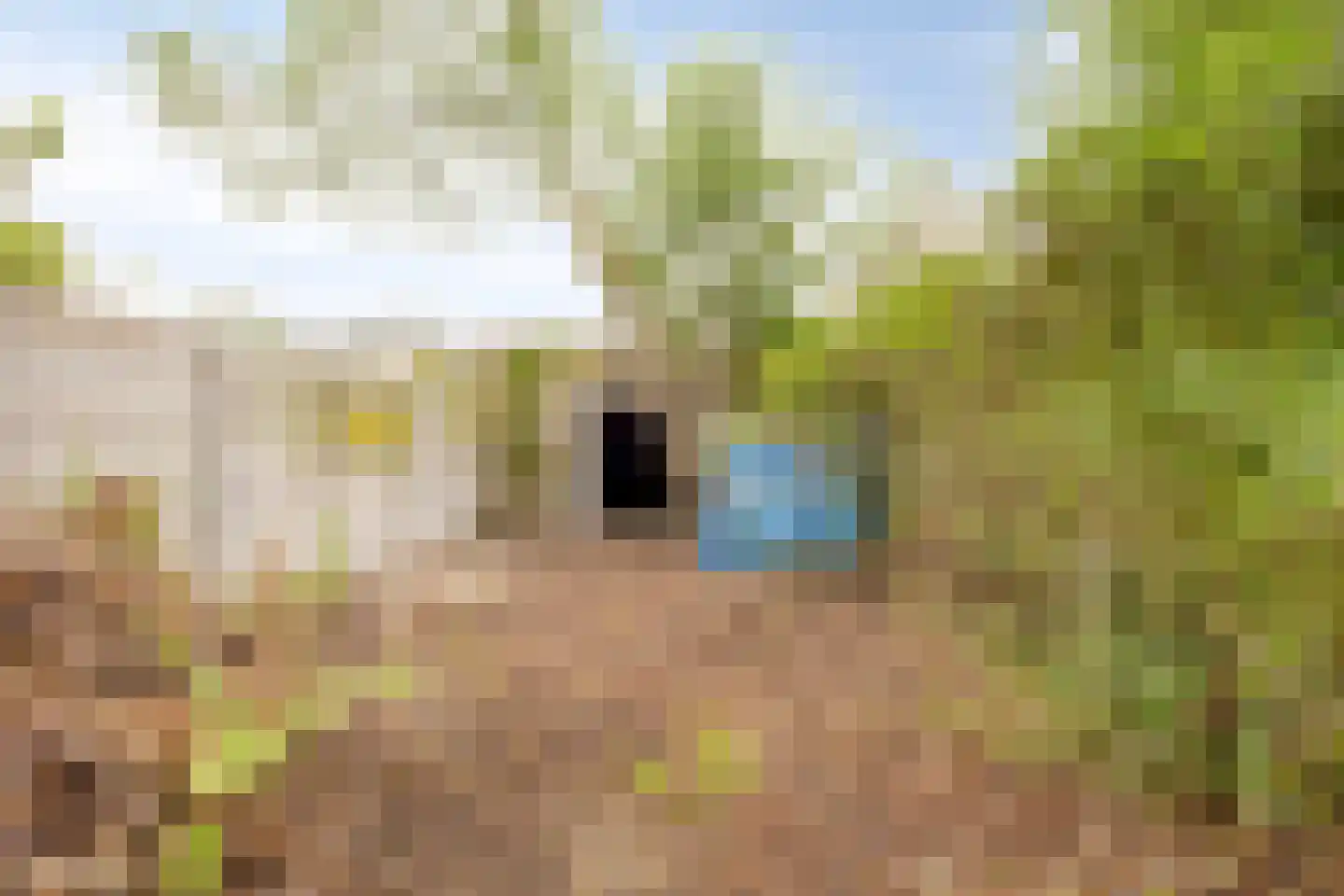 Prins Mauritsweg 71 Waalre thumbnail 30