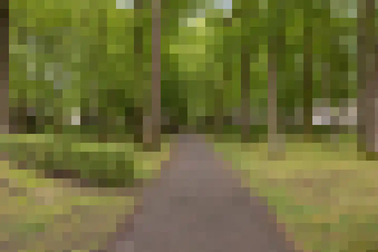 Prins Mauritsweg 71 Waalre thumbnail 37