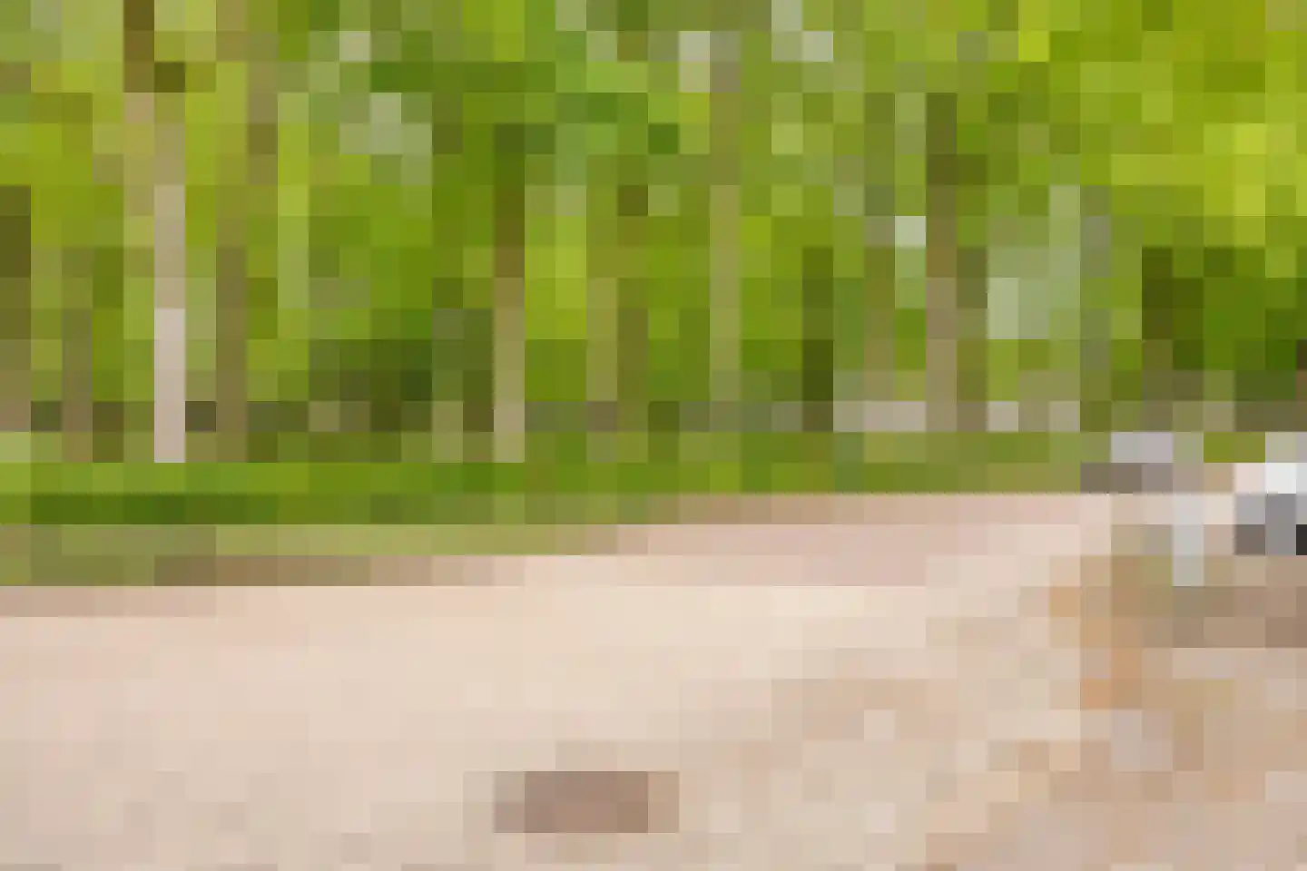 Prins Mauritsweg 71 Waalre thumbnail 39