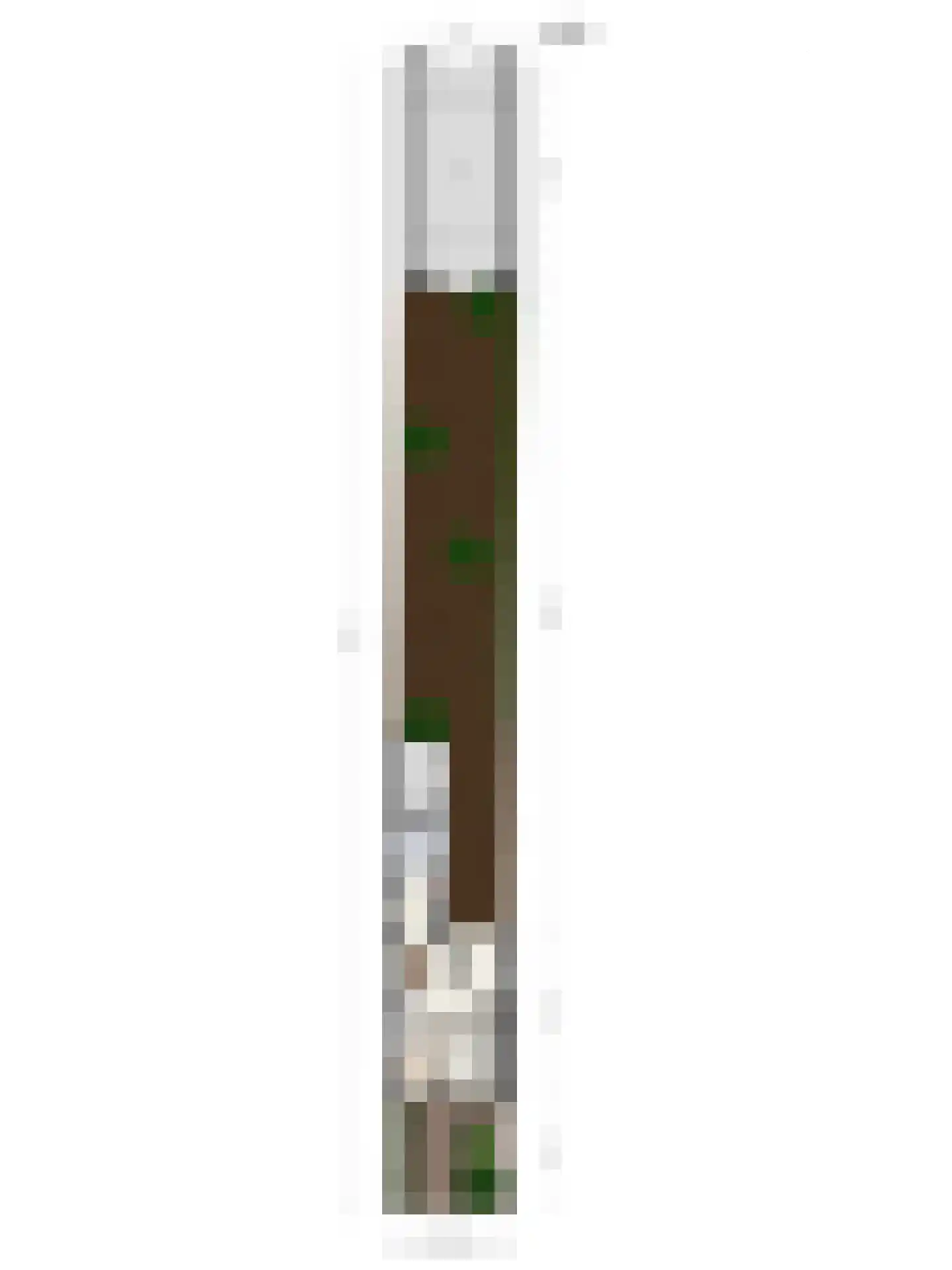 Prins Mauritsweg 71 Waalre thumbnail 41