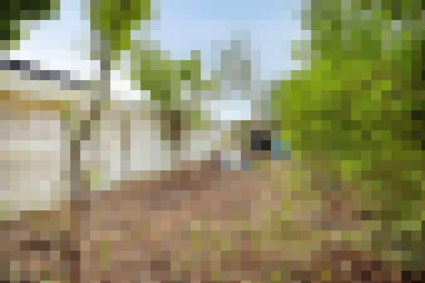 Prins Mauritsweg 71 Waalre thumbnail 6