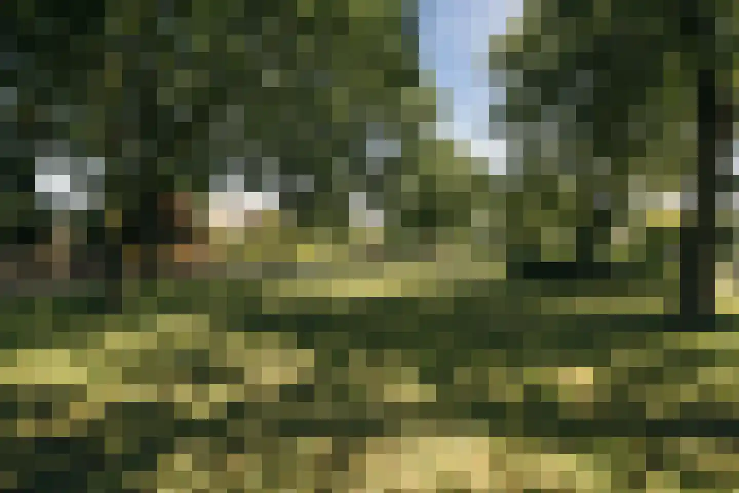 Prins Pieter-Christiaanhof 3 Badhoevedorp thumbnail 4