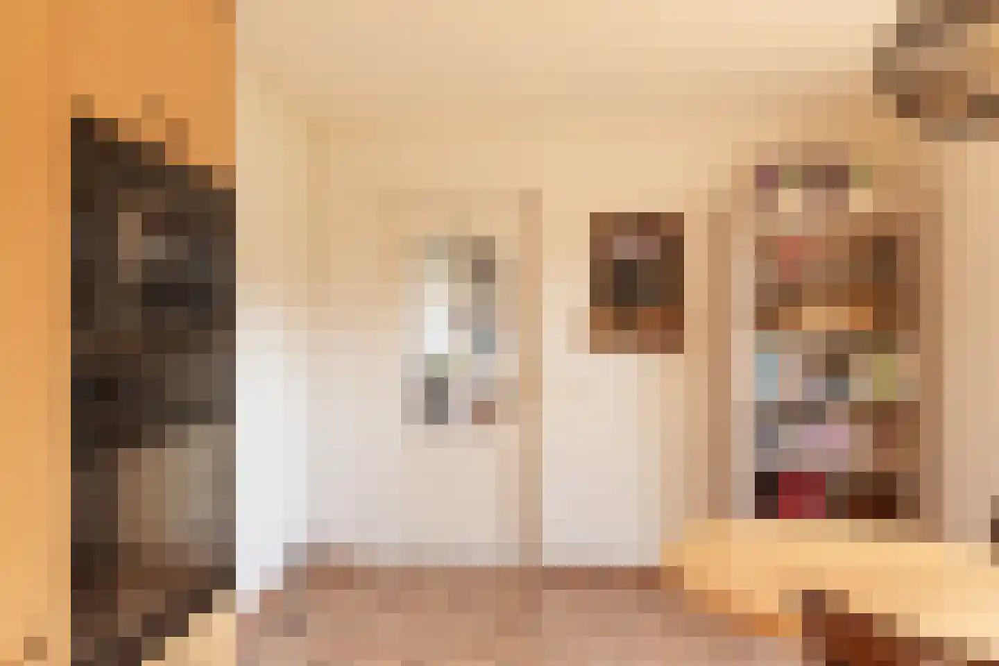 Prins Pieter Christiaanstraat 11 Terborg thumbnail 13
