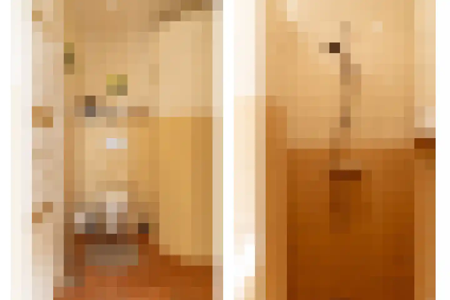 Prins Pieter Christiaanstraat 11 Terborg thumbnail 18