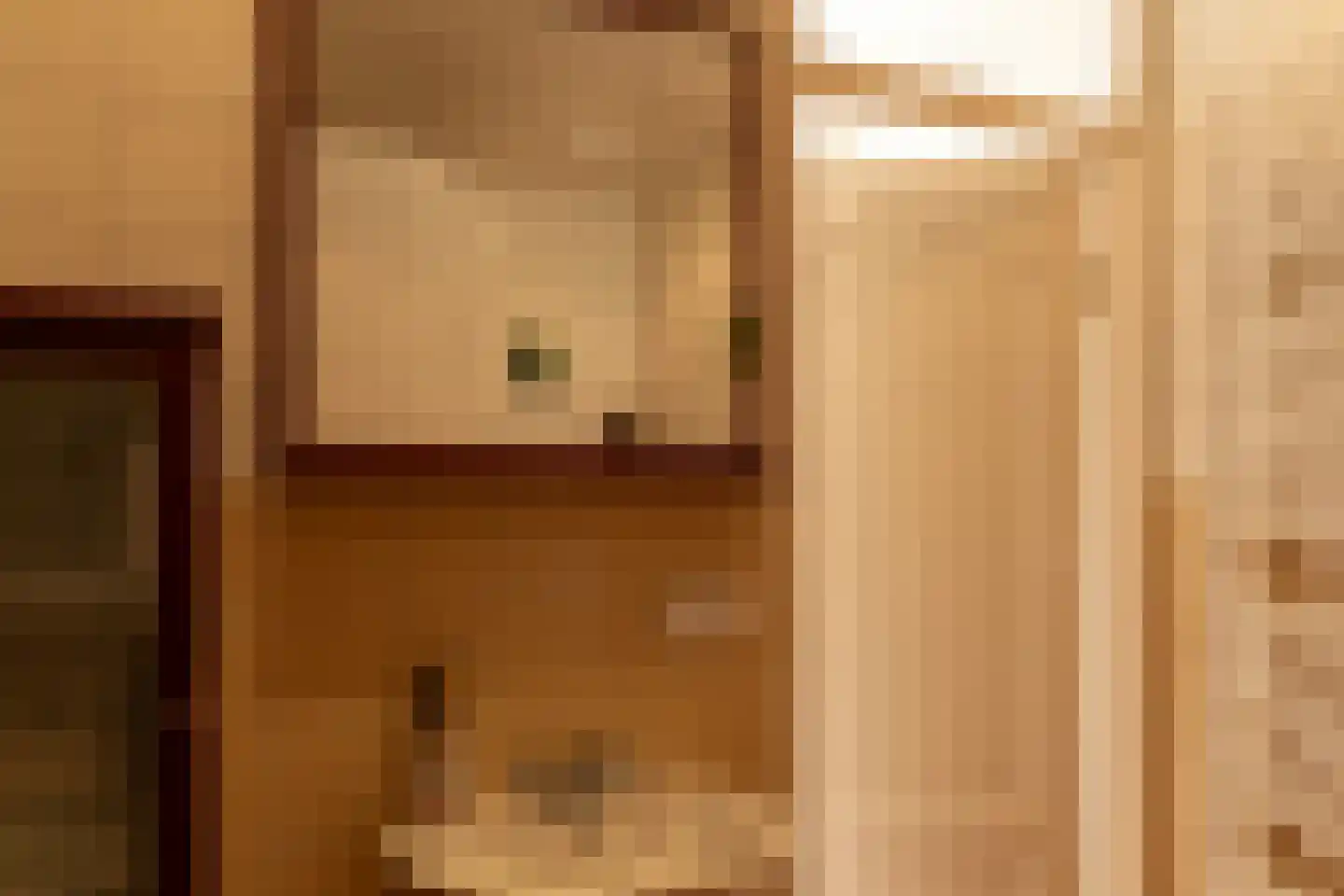 Prins Pieter Christiaanstraat 11 Terborg thumbnail 19