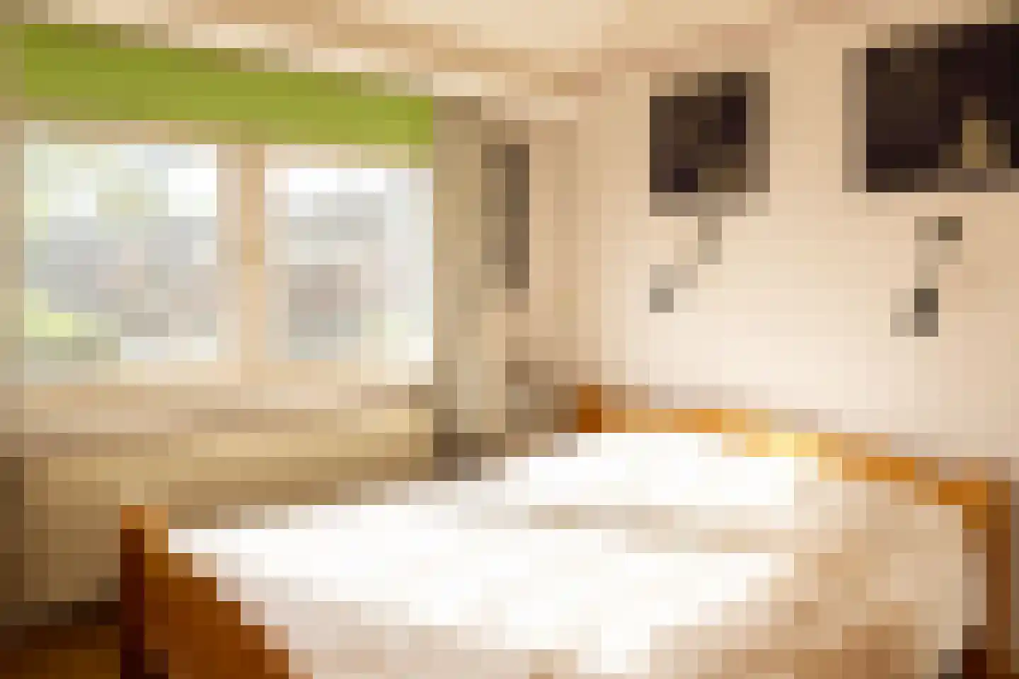 Prins Pieter Christiaanstraat 11 Terborg thumbnail 21