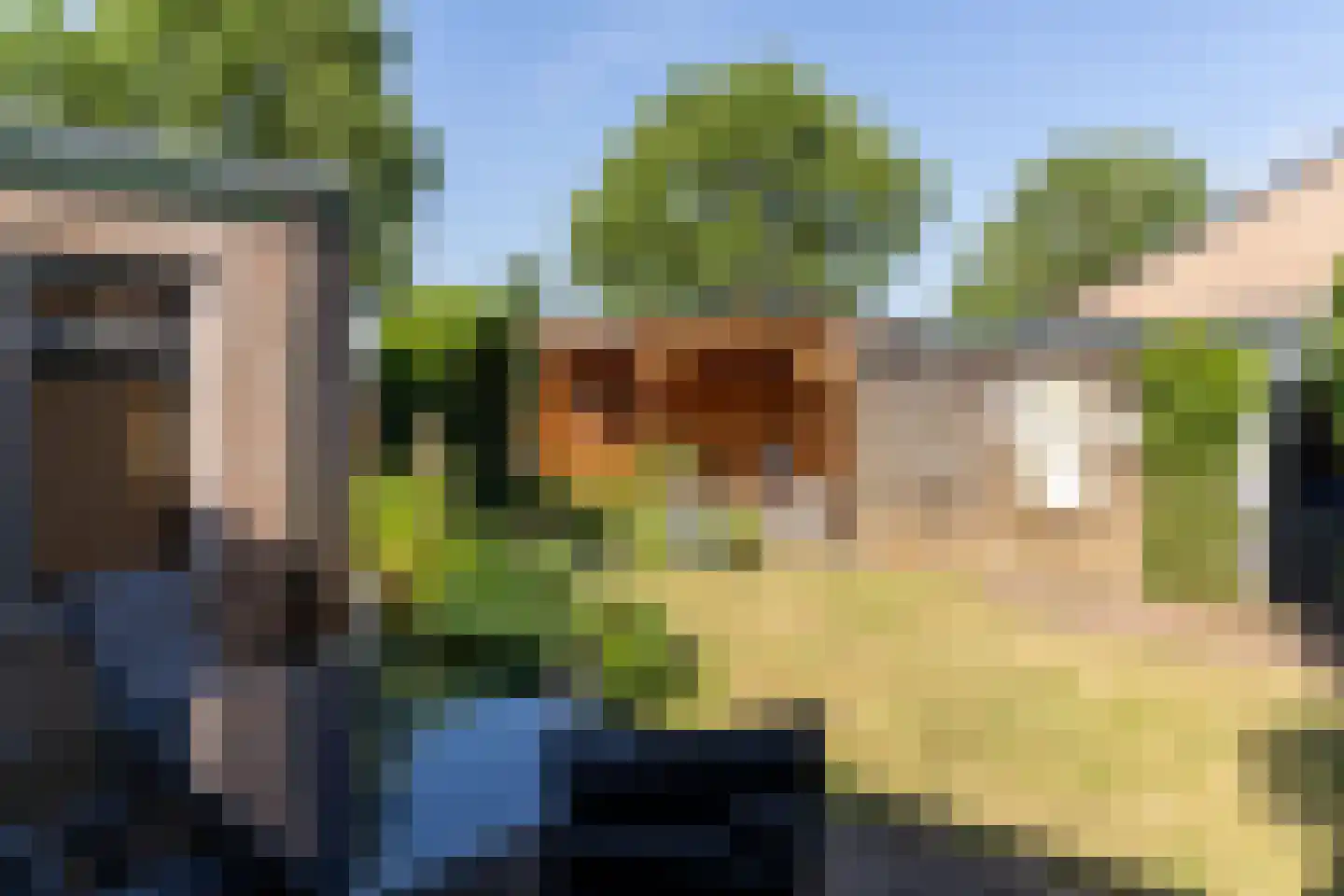 Prins Pieter Christiaanstraat 11 Terborg thumbnail 30