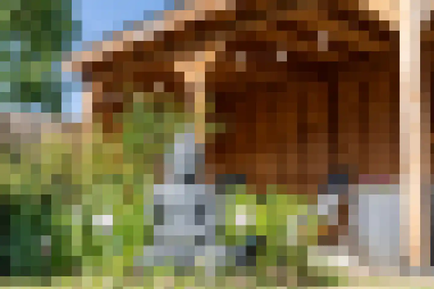 Prins Pieter Christiaanstraat 11 Terborg thumbnail 32