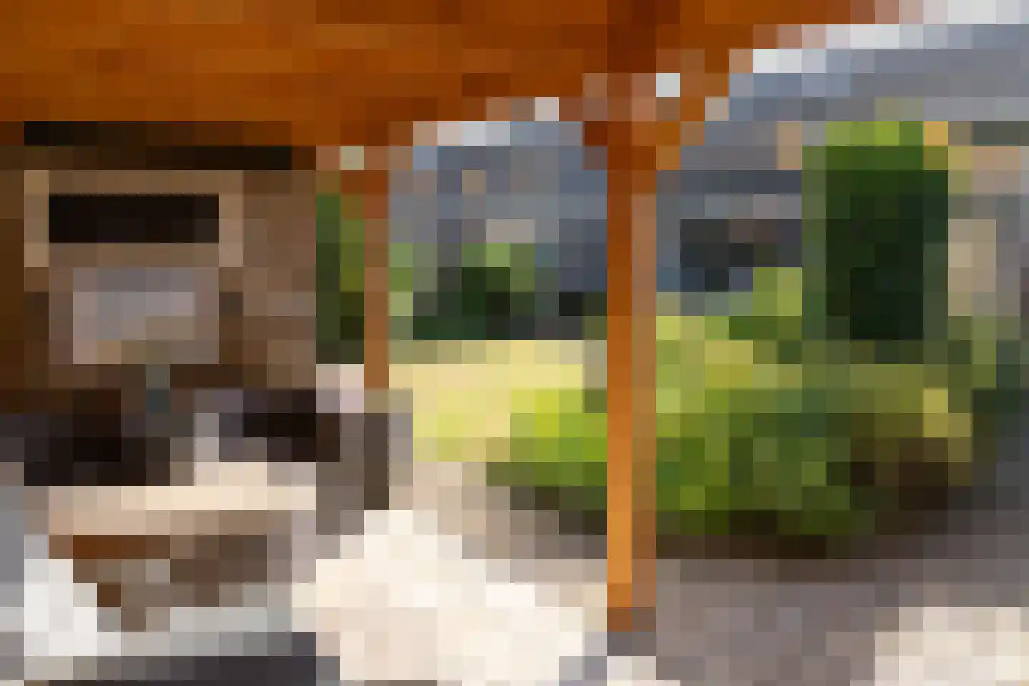 Prins Pieter Christiaanstraat 11 Terborg thumbnail 33
