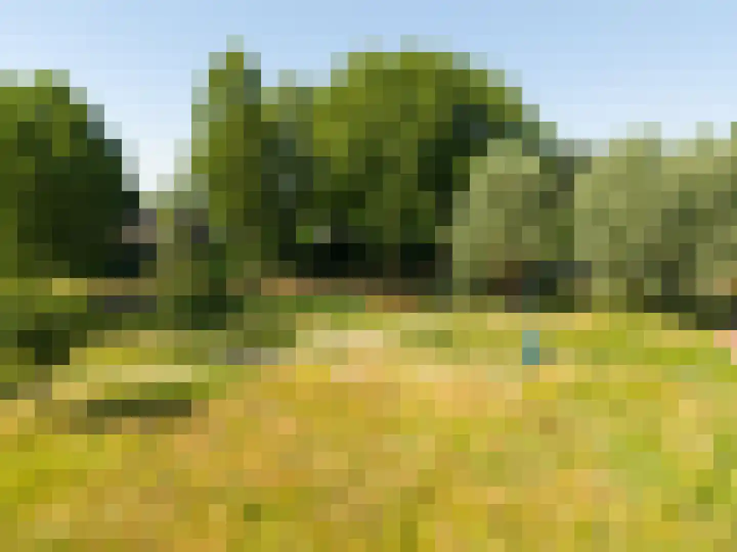 Prins Pieter Christiaanstraat 11 Terborg thumbnail 35