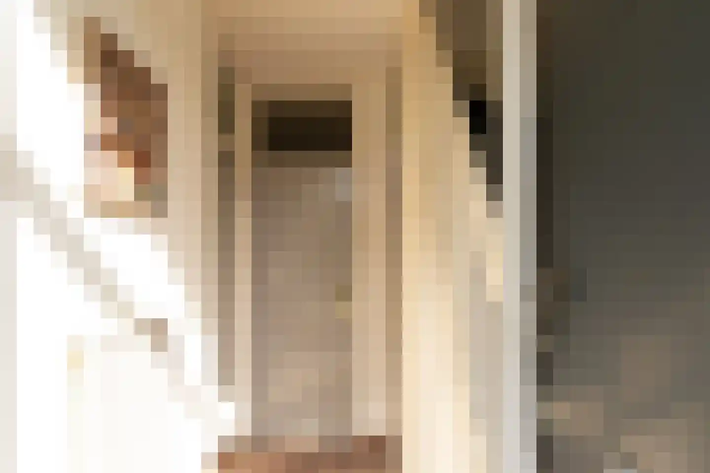 Prins Pieter Christiaanstraat 11 Terborg thumbnail 5