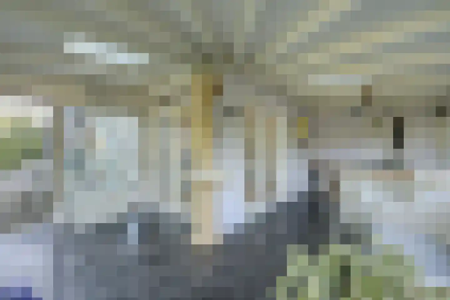 Prins Pieter Christiaanstraat 2 Dinteloord thumbnail 10