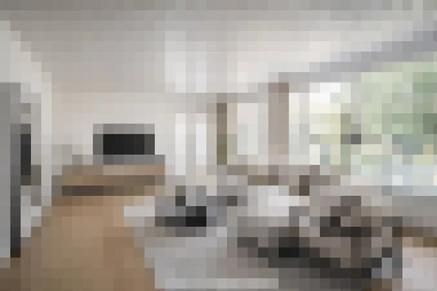 Prins Pieter Christiaanstraat 2 Dinteloord thumbnail 13