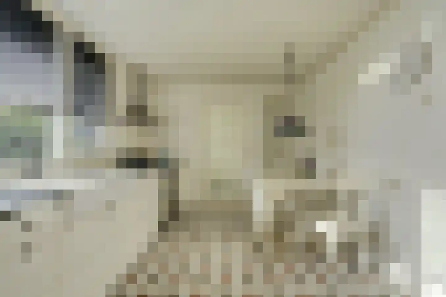 Prins Pieter Christiaanstraat 2 Dinteloord thumbnail 14
