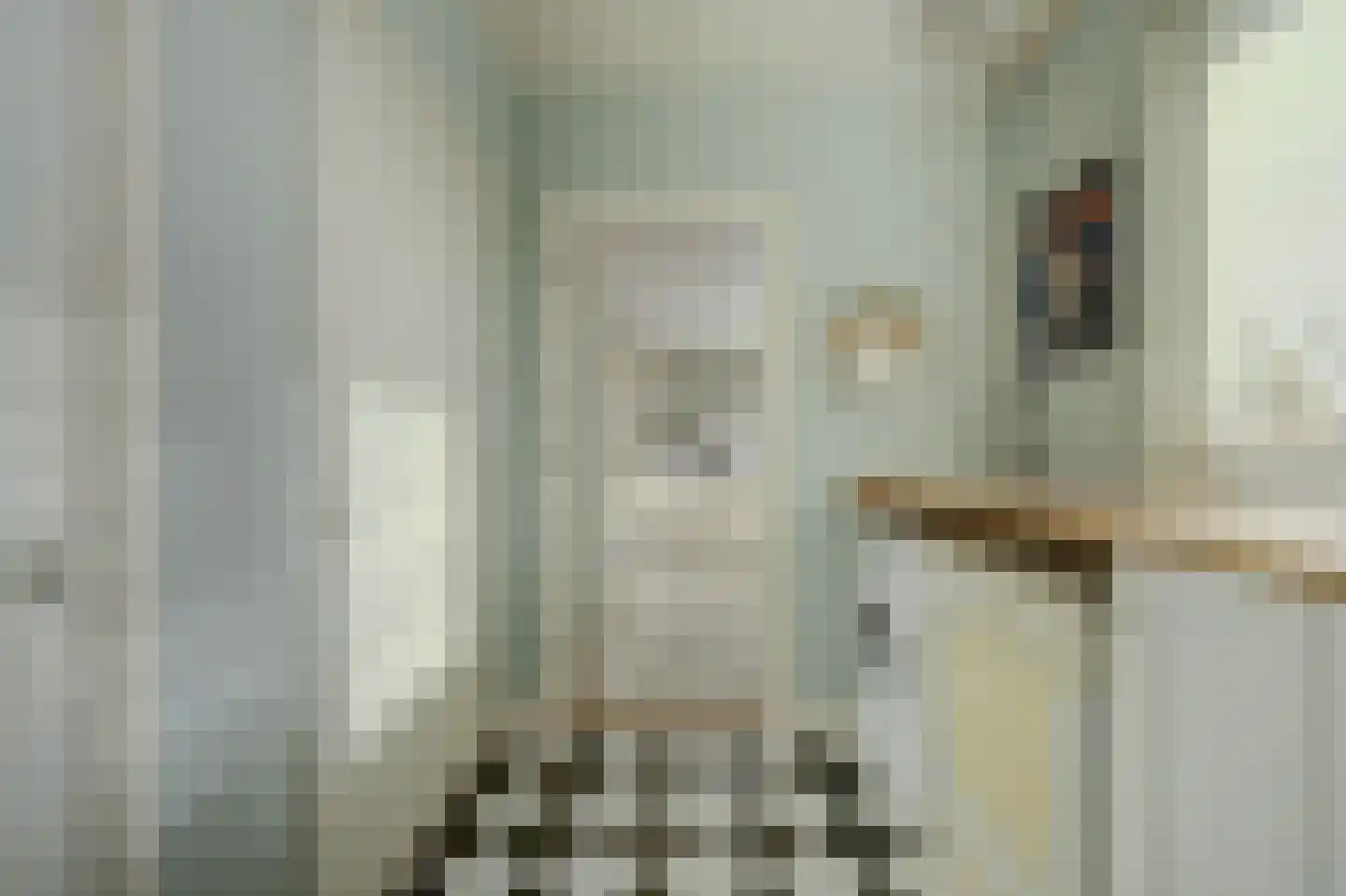 Prins Pieter Christiaanstraat 2 Dinteloord thumbnail 16