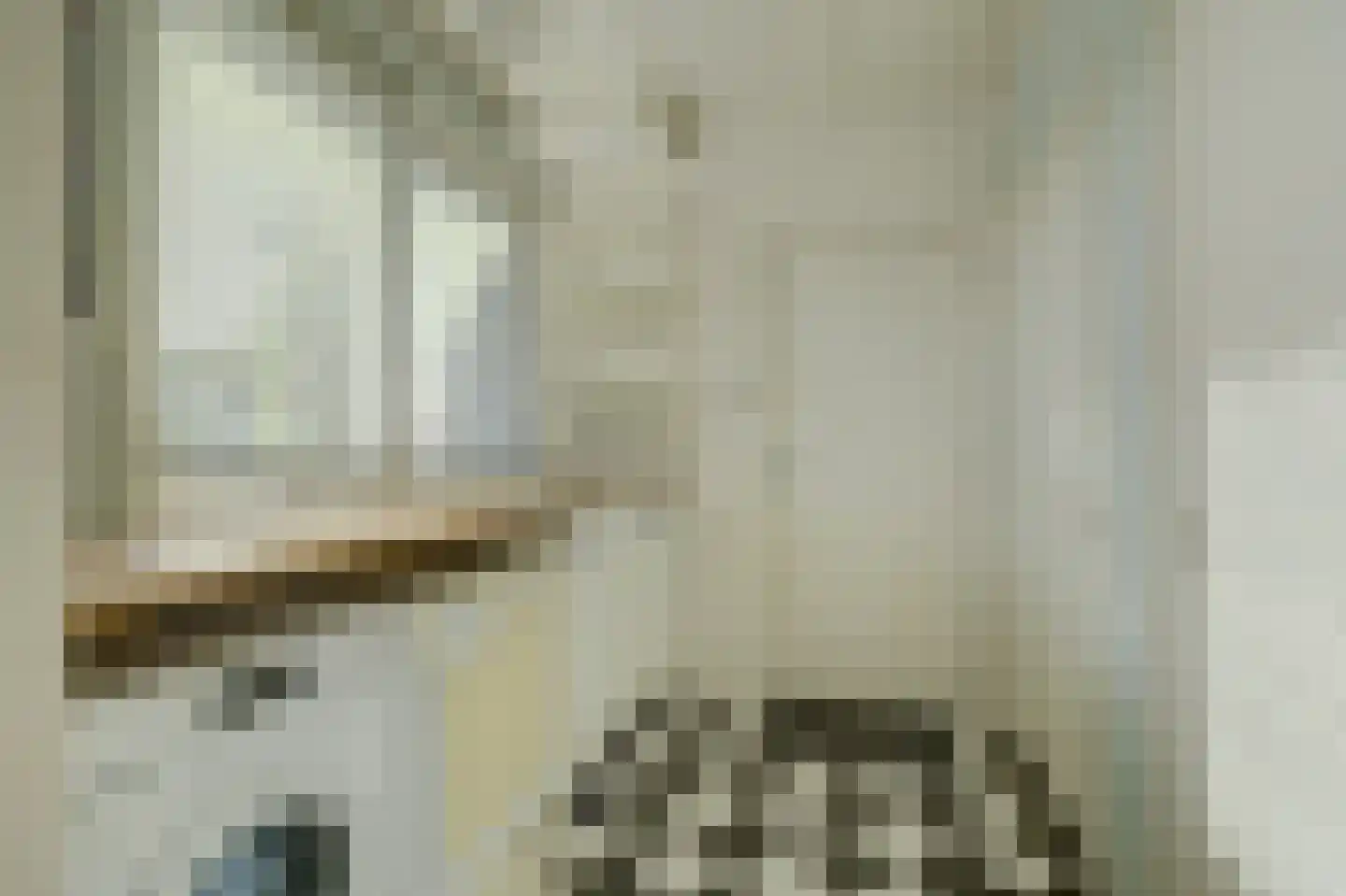 Prins Pieter Christiaanstraat 2 Dinteloord thumbnail 17