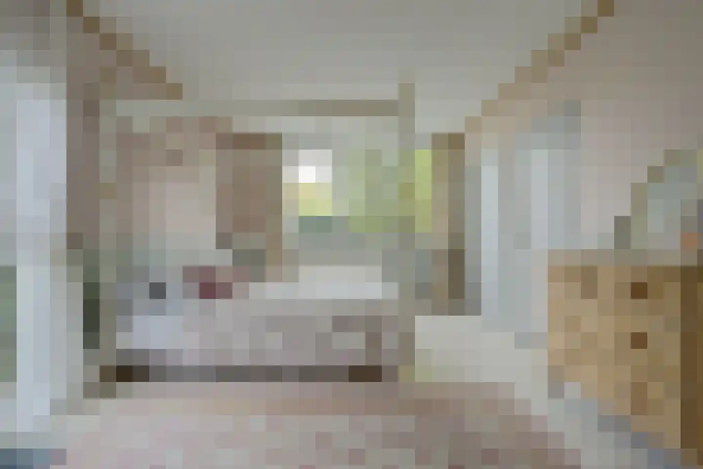 Prins Pieter Christiaanstraat 2 Dinteloord thumbnail 18