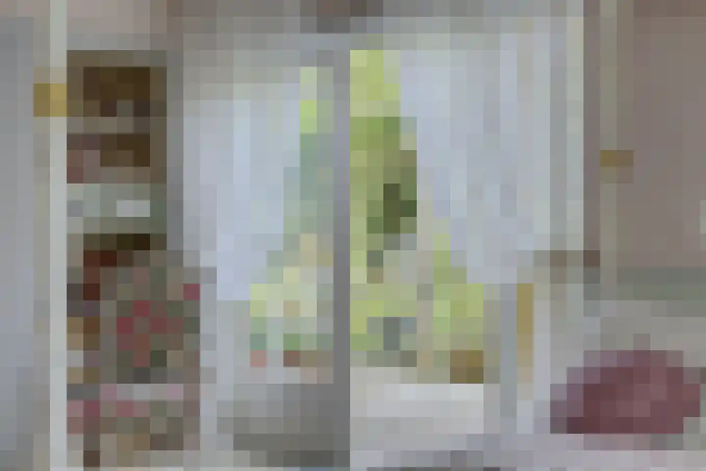 Prins Pieter Christiaanstraat 2 Dinteloord thumbnail 19