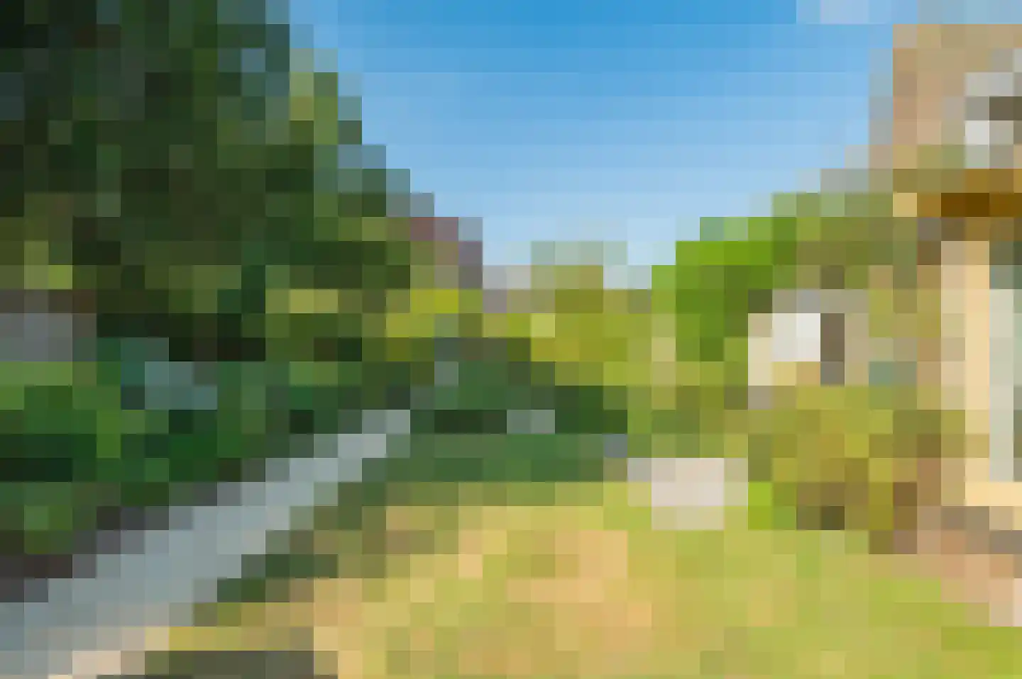 Prins Pieter Christiaanstraat 2 Dinteloord thumbnail 20