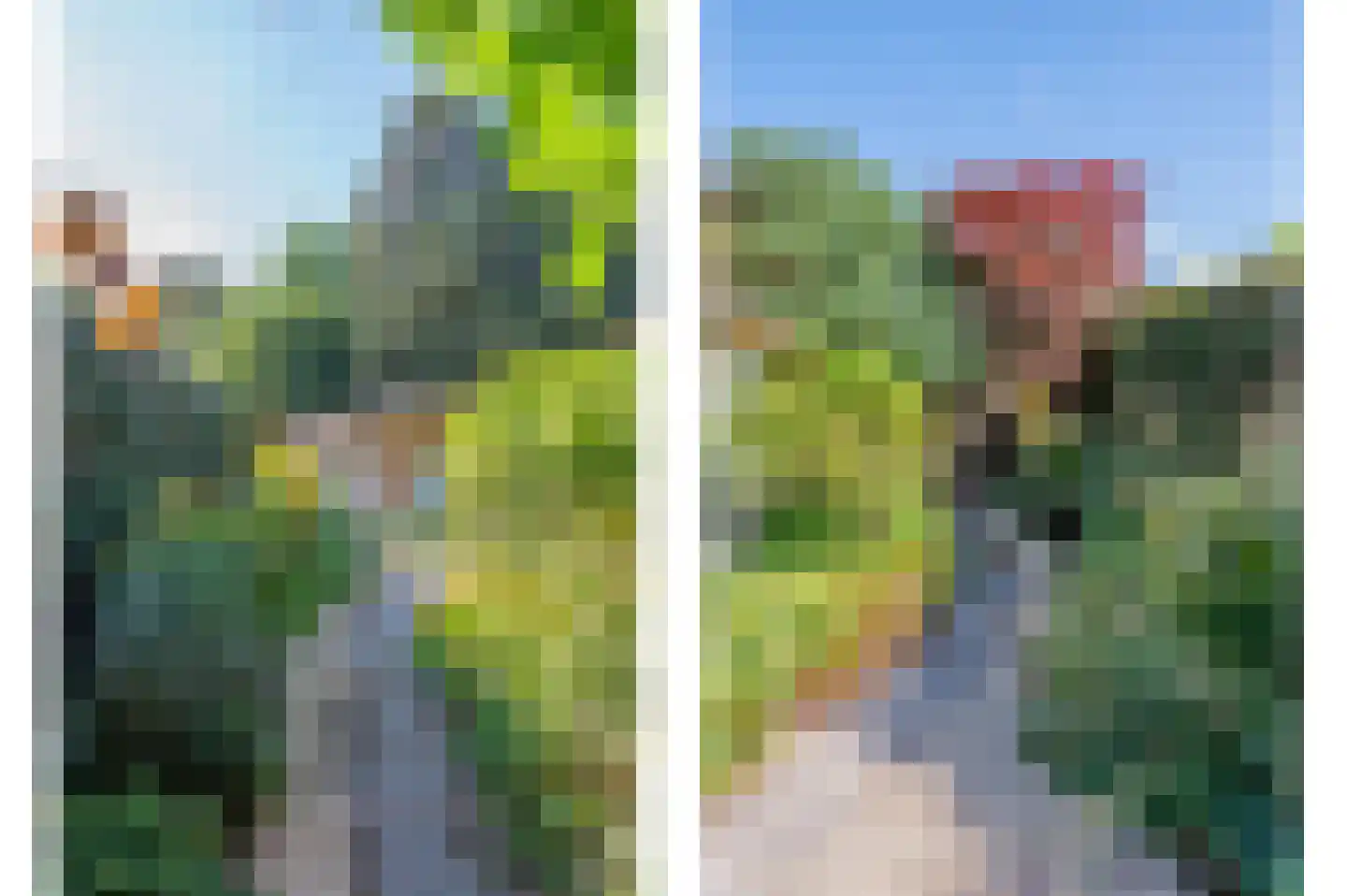 Prins Pieter Christiaanstraat 2 Dinteloord thumbnail 21