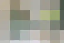 Prins Pieter Christiaanstraat 2 Dinteloord thumbnail 23