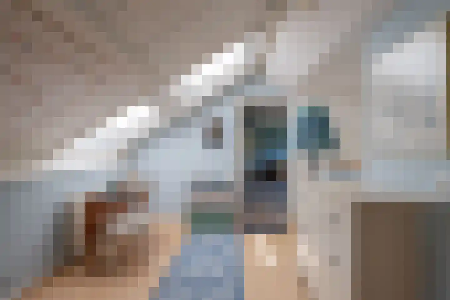Prins Pieter Christiaanstraat 2 Dinteloord thumbnail 26