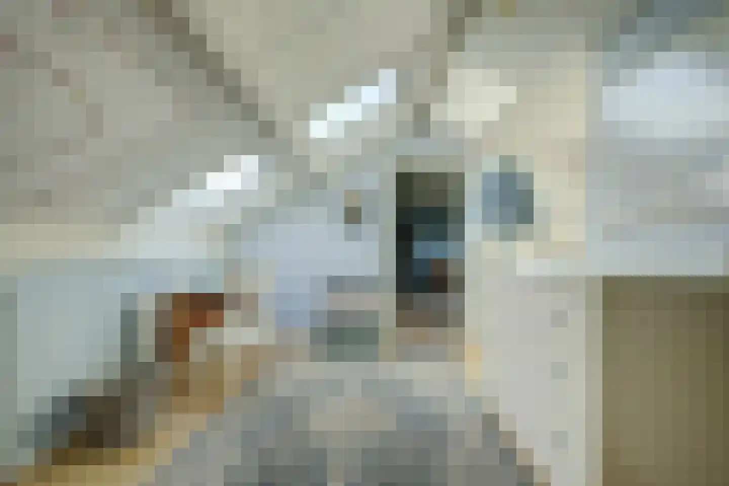 Prins Pieter Christiaanstraat 2 Dinteloord thumbnail 28