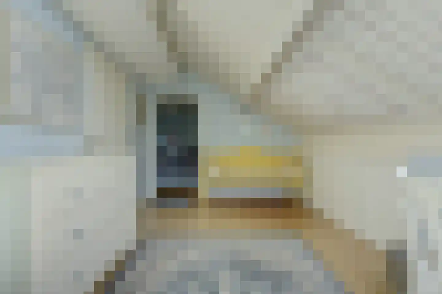 Prins Pieter Christiaanstraat 2 Dinteloord thumbnail 29
