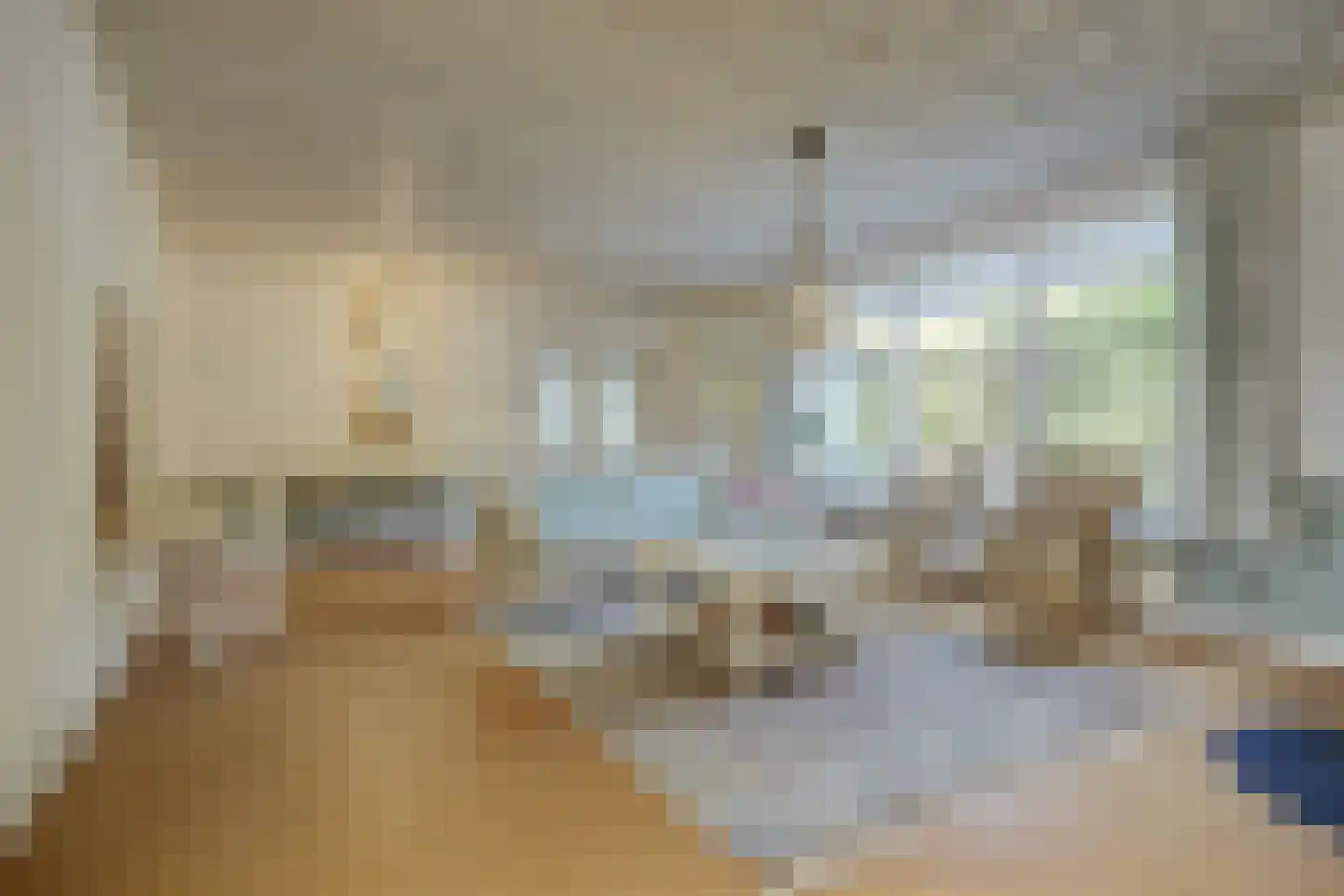 Prins Pieter Christiaanstraat 2 Dinteloord foto 3