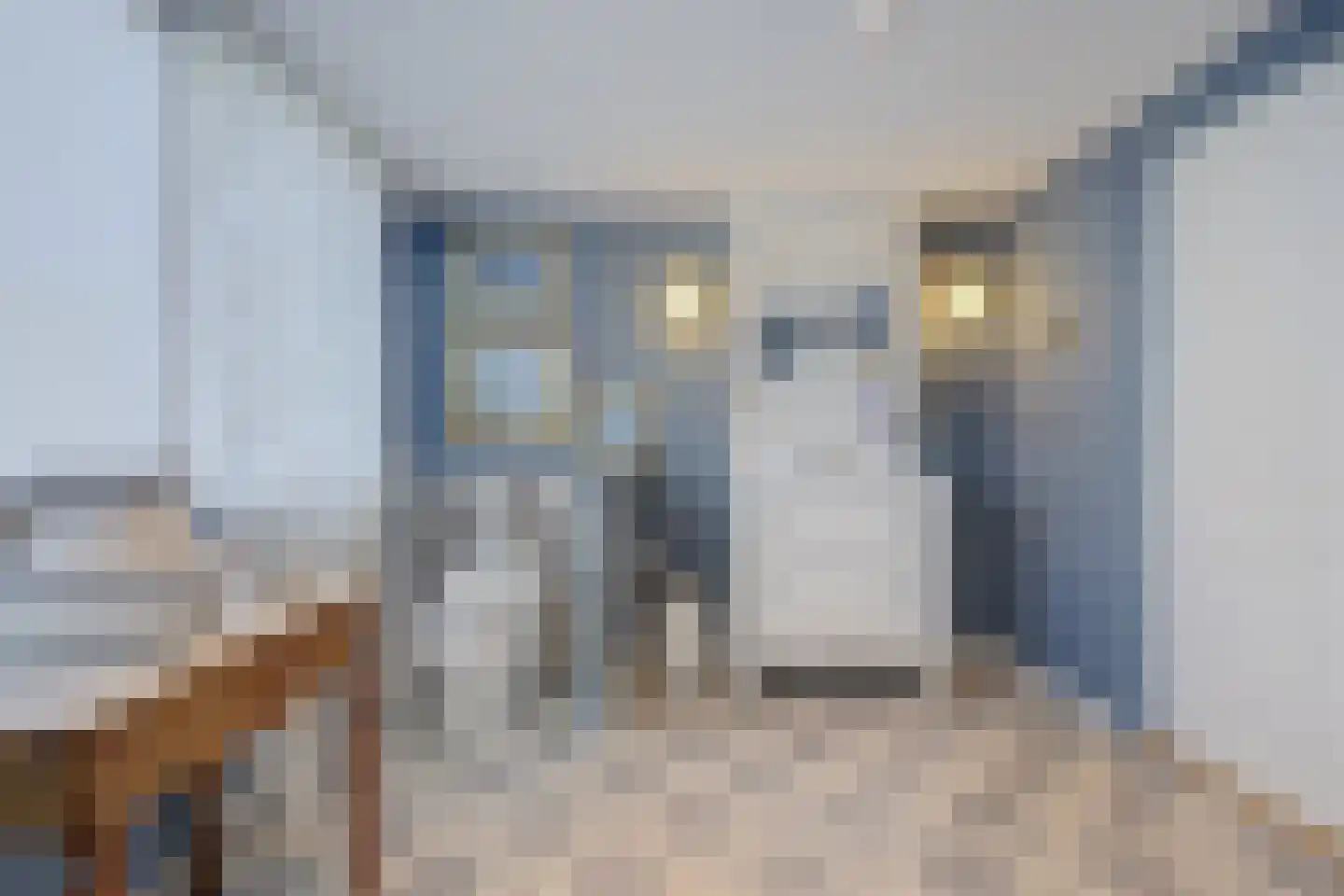 Prins Pieter Christiaanstraat 2 Dinteloord thumbnail 31