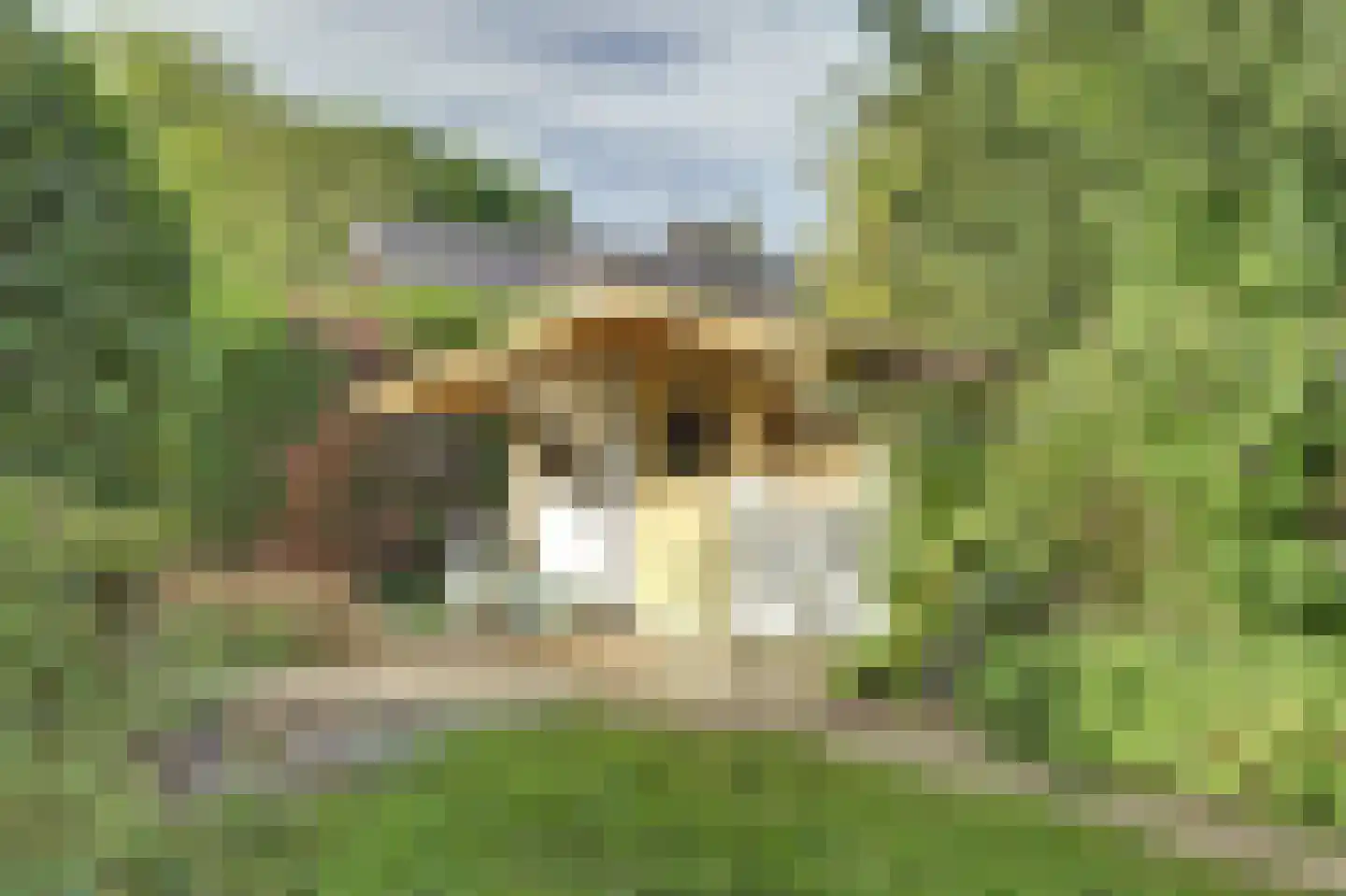 Prins Pieter Christiaanstraat 2 Dinteloord thumbnail 34