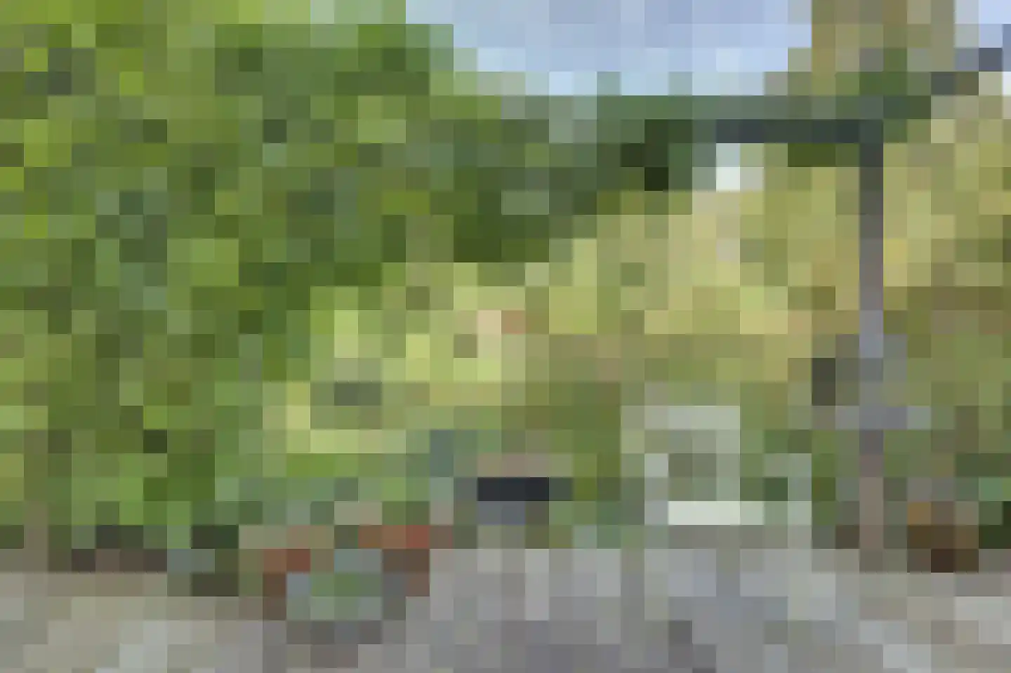 Prins Pieter Christiaanstraat 2 Dinteloord thumbnail 36