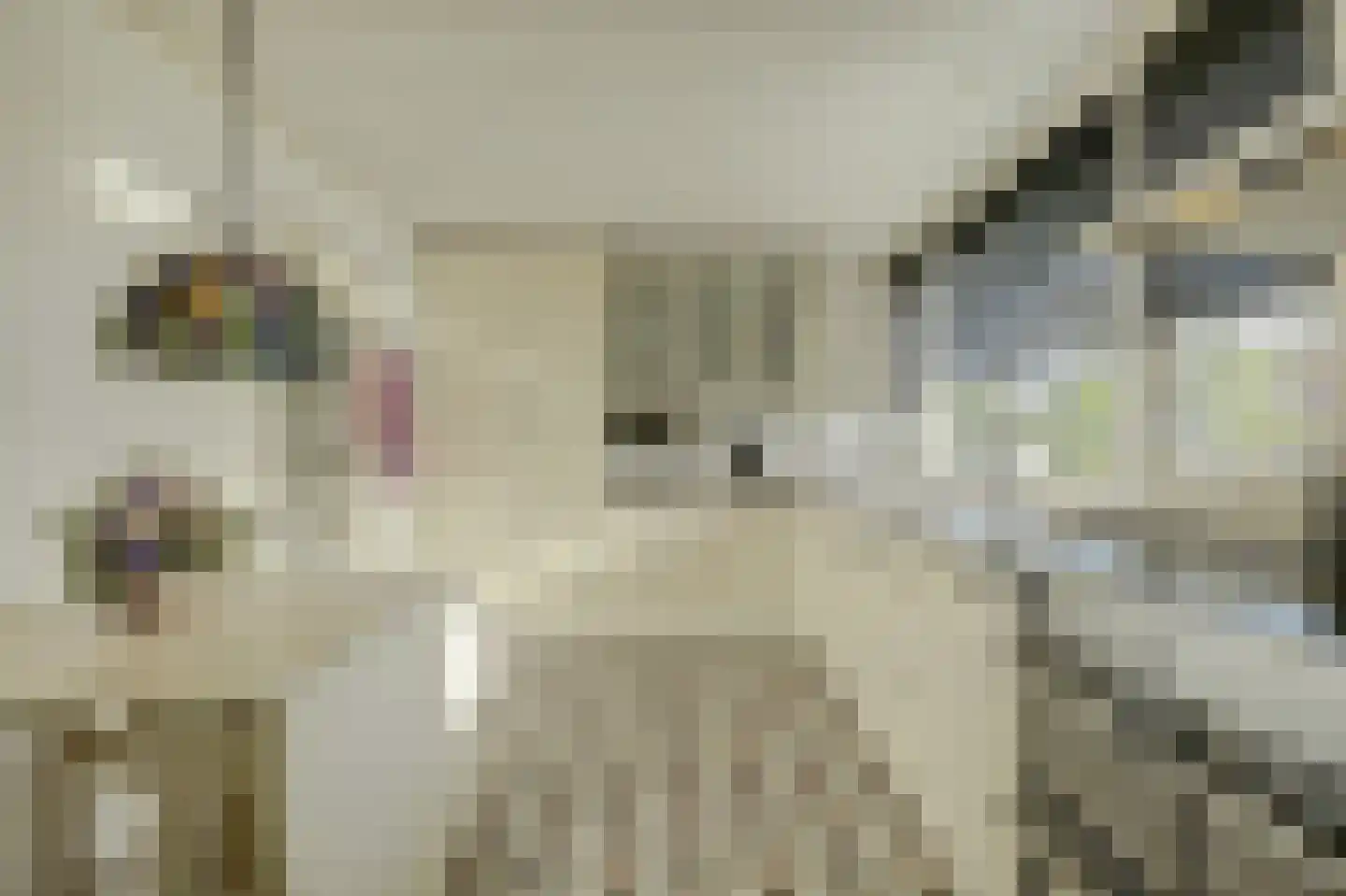 Prins Pieter Christiaanstraat 2 Dinteloord thumbnail 4