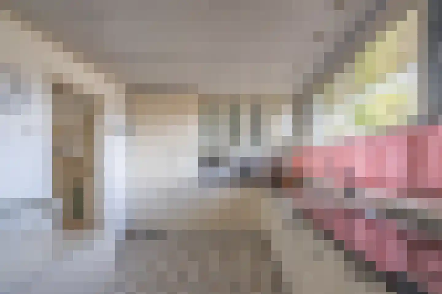 Prins Pieter Christiaanstraat 2 Dinteloord thumbnail 4