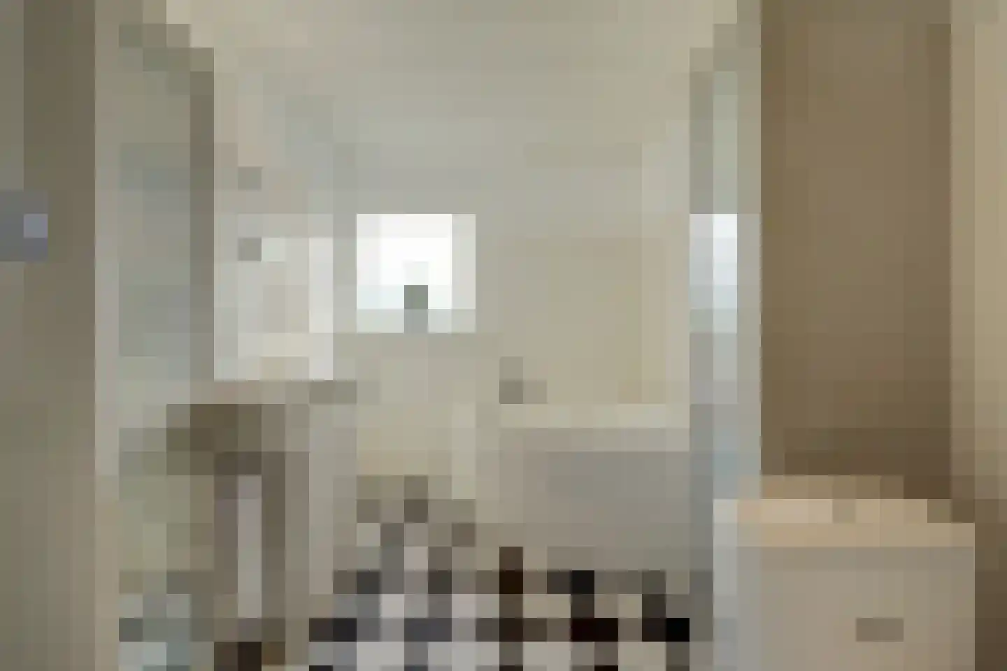 Prins Pieter Christiaanstraat 2 Dinteloord thumbnail 5