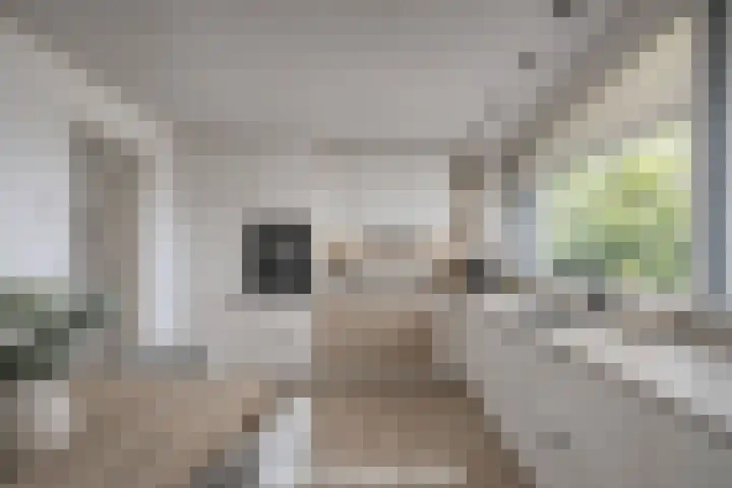 Prins Pieter Christiaanstraat 2 Dinteloord thumbnail 5