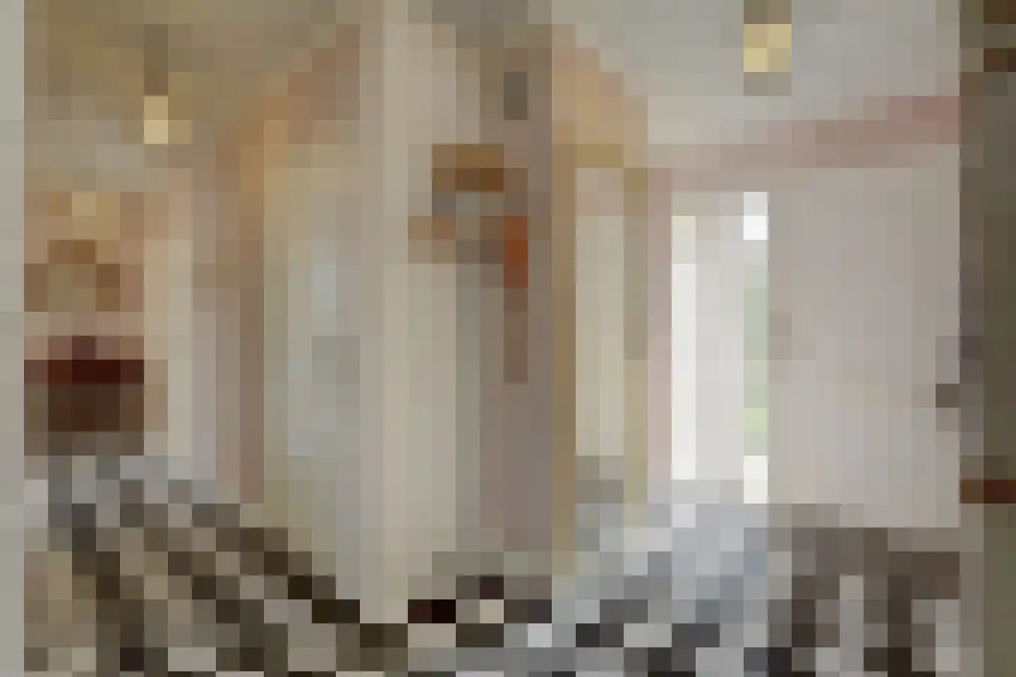 Prins Pieter Christiaanstraat 2 Dinteloord thumbnail 7