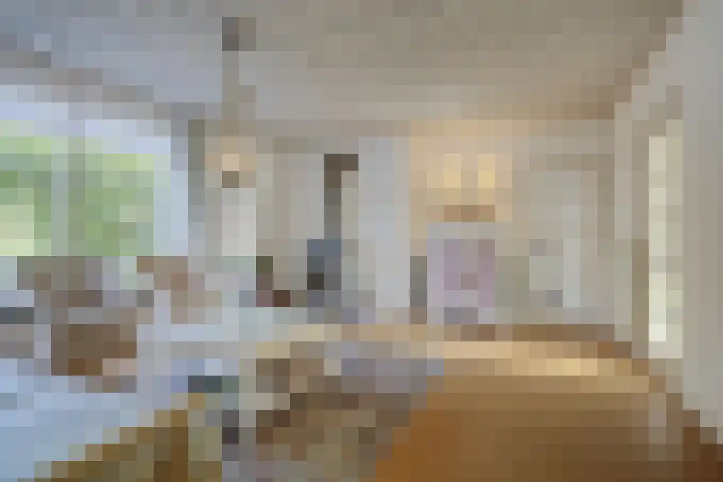 Prins Pieter Christiaanstraat 2 Dinteloord thumbnail 9