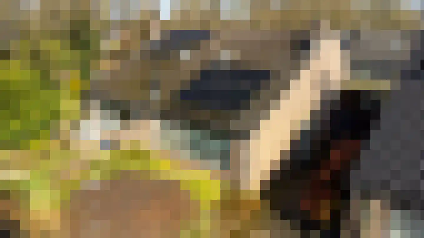 Prins Pieter Christiaanstraat 3 Terborg thumbnail 5